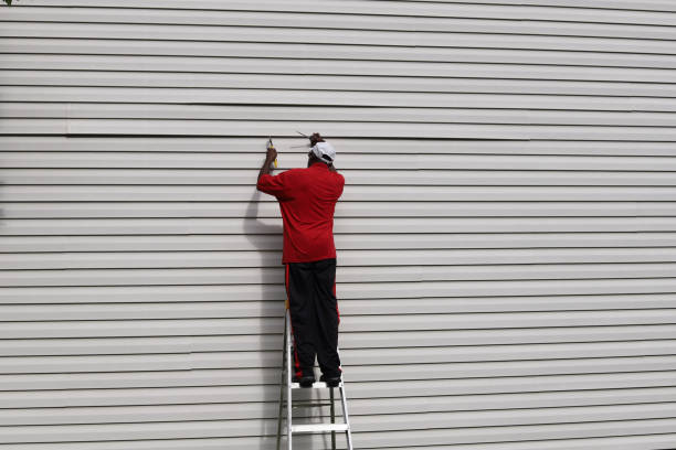 Best Custom Siding Design  in Huntland, TN